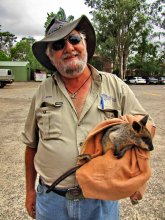 One of the "Ozzie" + wallaby / ***