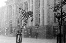 In the city of rain (2) / ***