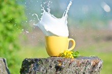 Milk ran away:) / ....