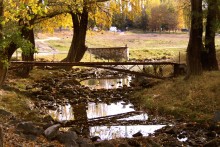 Autumn / ***