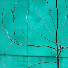 Malachite dreams / ***