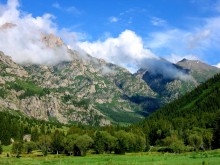Dzungaria after rain / ***