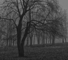 Wet month of November / ***