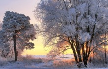 Dawn of Winter / ***