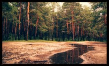 After the rain / ****************