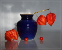 Physalis 2 / ***