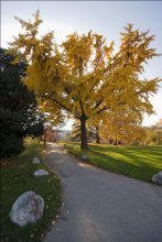 Vienna Park / *****
