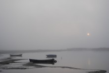 through the fog / ********