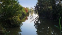 LANDSCAPE № 596 / **********