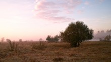 On the morning of September / ____________________*
