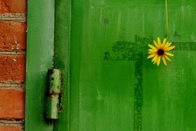 Greetings from the summer / ***