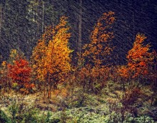 Bad weather / ***