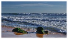 Surf ... / ***