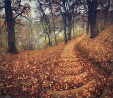 / ... On the stairs leading ..../ / ***