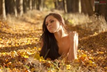 Warm Autumn / ***