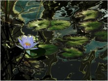 Heavy water / *********