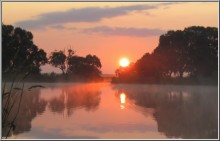 Pink Dawn / ***