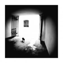 I walked alone / ***