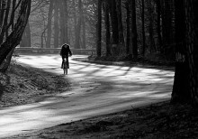 Bicyclist / ***