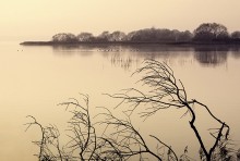 Autumn lull / ***