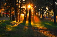 Warm rays / ***