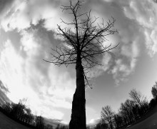 the beginning of winter / ***
