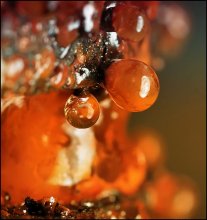 Unruly magic ... / ***