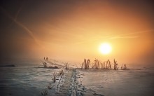 Winter-Dämmerung / ***