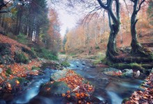 .......... ......... Carpathian trails / ***