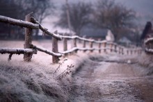 Carpathians in details / ***
