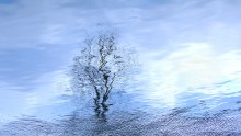 dreamy watercolors / ***