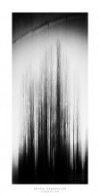 [ hair ] / ***