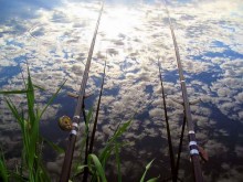 Catching noctilucent clouds / ***