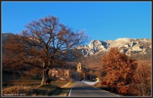 The road to the monastery / ***