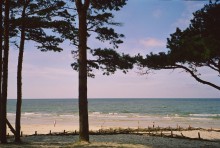 On the shore of the Baltic Sea / ***