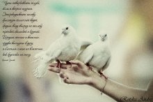 Paar / ***