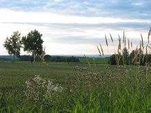 beauty of the earth / ***