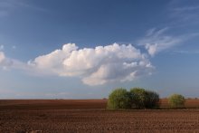 Spring / ***