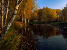 Affectionate Fall / ***