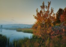 The marshes / ***
