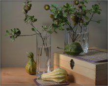 ACORN ... / ***