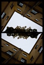 * The window at the sky * / ***