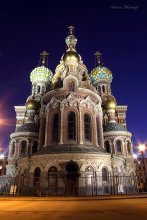 Savior on Spilled Blood / ***
