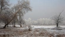 Frost / ***