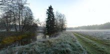 dawn / ***