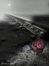 So where is this sorrow ... / ***