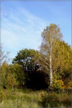 Autumn / ***