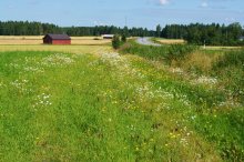 Erinnerung an den Sommer / ***