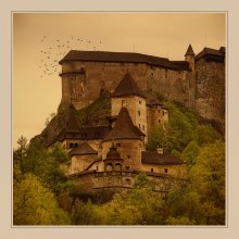 eagle nest / ***