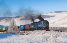 Winter hunting / ***